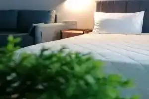 Апартамент, Анапа