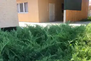 Четырёхместный номер стандарт, Кучугуры