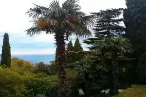 Квартира с видом на море, Ливадия