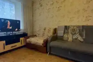 Уютная квартира рядом с центром города, Сорочинск