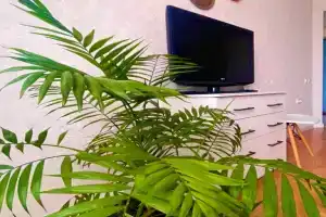 Квартира Башкирия в центре города