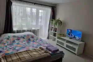 Уютная однокомнатная квартира в центре