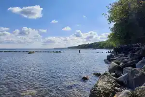 Гостевой дом «Высокий берег», Светлогорск