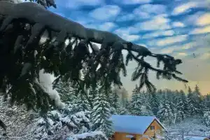 Гостевой дом «Лесная усадьба», Икша