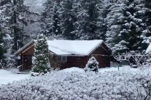 Дом у леса баня на дровах в Алексино