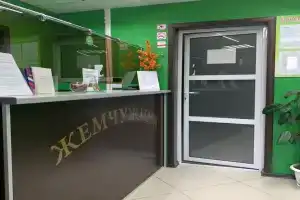 Гостиница «Жемчужина», Скопин