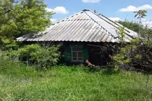 Дом в красивом тихом месте на реке Дон