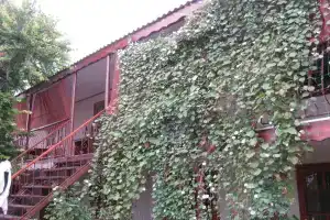 Гостевой дом «Людмила», Черноморское