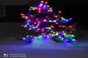 Усадьба Роза на Селигере