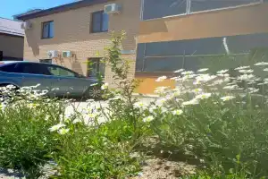 Гостевой дом «Мом», Джубга