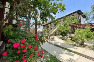 Гостевой дом «Лес у моря», Джубга