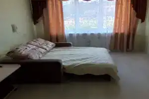 Однушка в центре