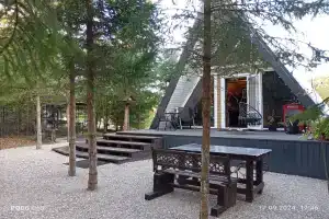 Шале а-фрейм в ёлках с пятнистыми оленями