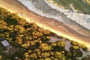 Глэмпинг «Поляна», Лесной