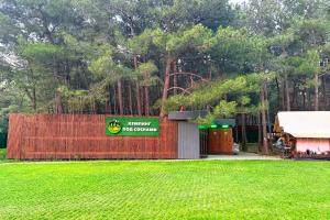 Кемпинг «Под соснами», Геленджик