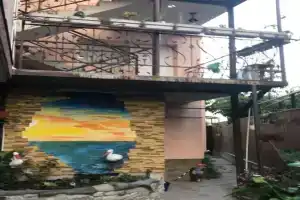 Гостевой дом «Елена», Дагомыс