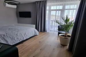 Гостиница «С Флюгером», Орджоникидзе