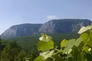 Гостиница «Сельское Подворье», Соколиное