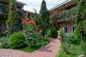 Орловка - Гостиницы