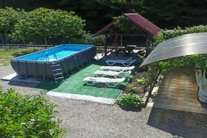 Объект «Лиса», Пляхо