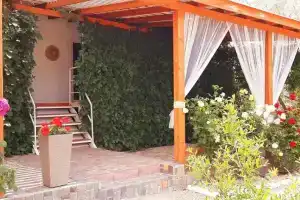 Гостевой дом «Кактус», Коктебель