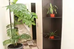 Отель «Олимп», Москва