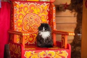 Отель «Золото Алтая», Белокуриха