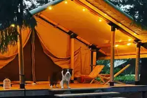 Кемпинг «Заповедник», Рождествено