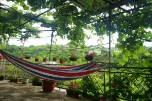 Гостиница «Барциц», Гагра