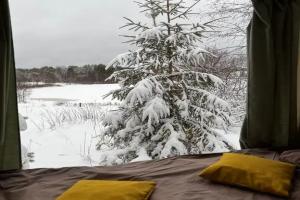 База отдыха «Forrest Home» в Псковской области