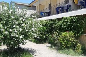 Гостевой дом Орловка, Орловка