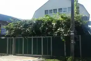 Гостевой дом «У Азы», Пицунда
