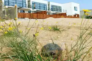 Апартаменты «Апарт 505», Новокаякент