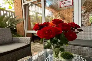 Гостевой дом «Прибрежный на Просвещения», Адлер