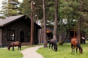 Отель «Konak House», Архыз