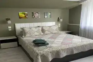 Апартаменты «Ёлки», Суздаль