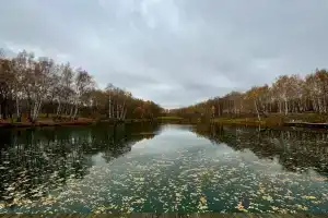 Кемпинг «Наше Место» в Озёрском районе
