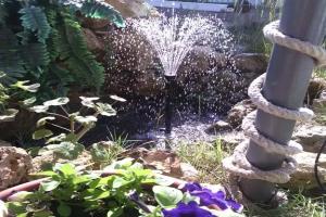 Гостевой дом «Магема», Курортное