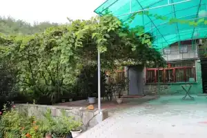 Гостевой дом «Лесная гавань», Геленджик