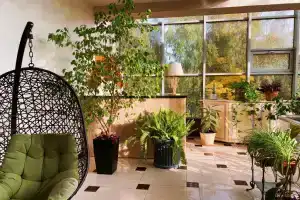 Гостиница «Моджо», Видное