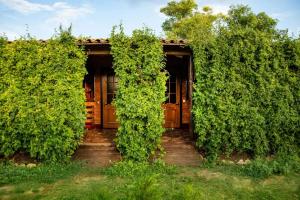 Гостевой дом «Пиратская шхуна», Оленевка