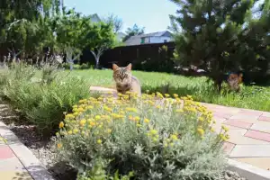 Гостевой дом «Нагаевский», Голубицкая