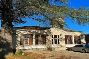 Гостевой дом «Цитрус», Алахадзы