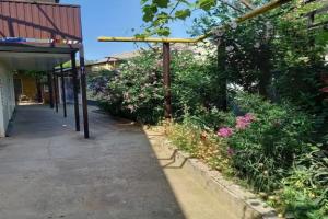 Уютные апартаменты