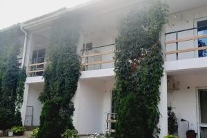 Гостевой дом «Альяна», Солнечногорское