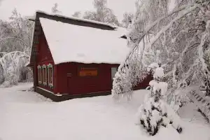 Дом в лесу в Устиново