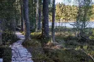 Глэмпинг Ecos 360, Лосево