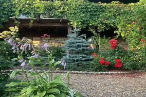 Гостиница «Море роз», Тамань