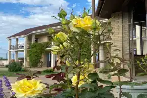 Гостевой дом «Сантолина», Витино