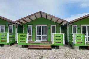 Green House on Gold, Хыпста